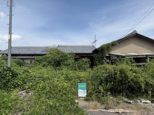 画像 1