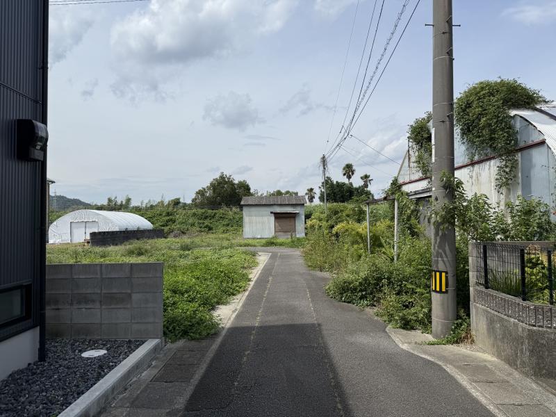 画像 4