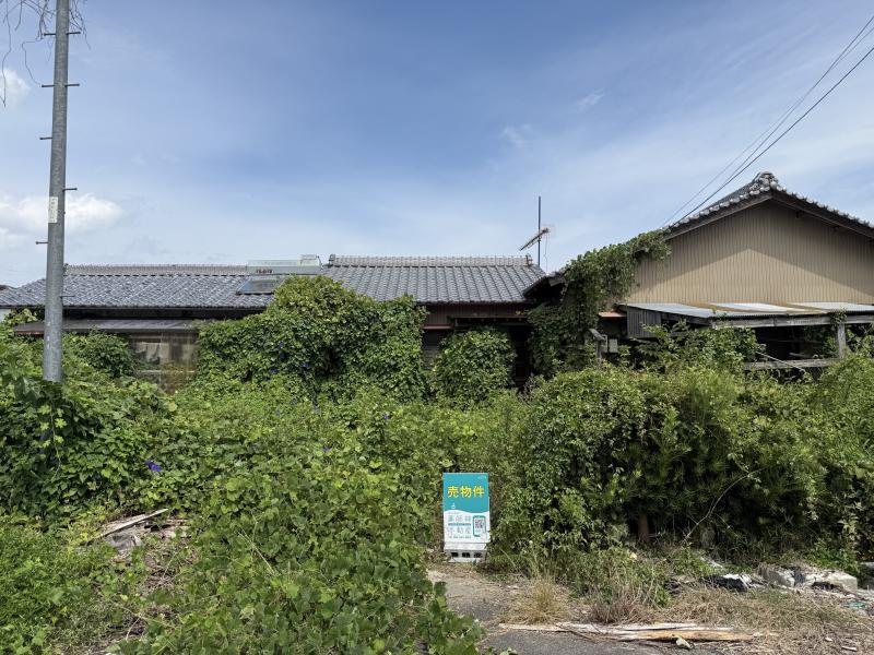 画像 1